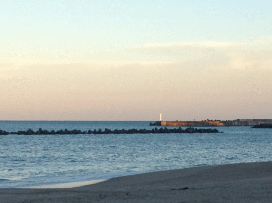 ちどり 近隣情報 春景色 _a0251920_10242558.gif