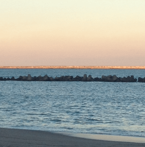 ちどり 近隣情報 春景色 _a0251920_10263968.gif