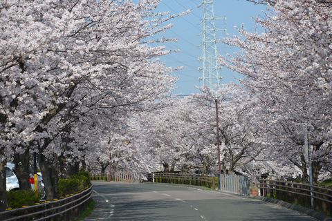 e0165922_20131293.jpg