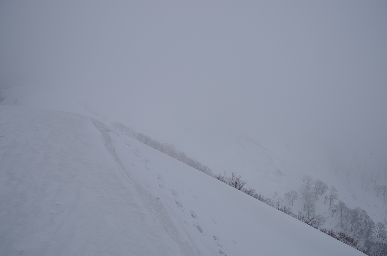 b0062024_19372150.jpg