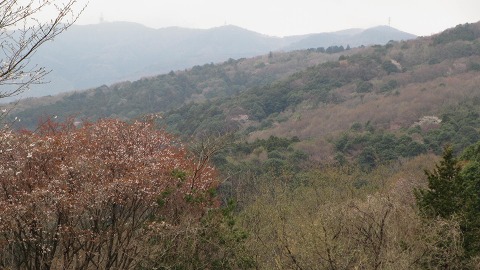 e0202031_22465737.jpg