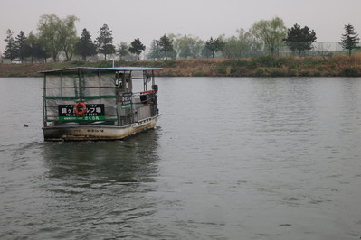 a0124132_16181355.jpg