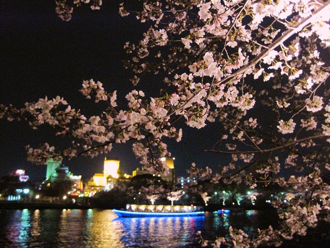 大川の夜桜　　　　　　　　　大阪市_b0180433_22301288.jpg