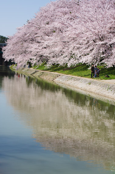 桜の休日_f0032137_1883374.jpg