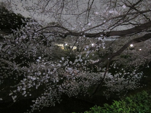 e0018143_0293297.jpg