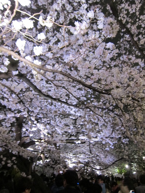 e0018143_0371455.jpg