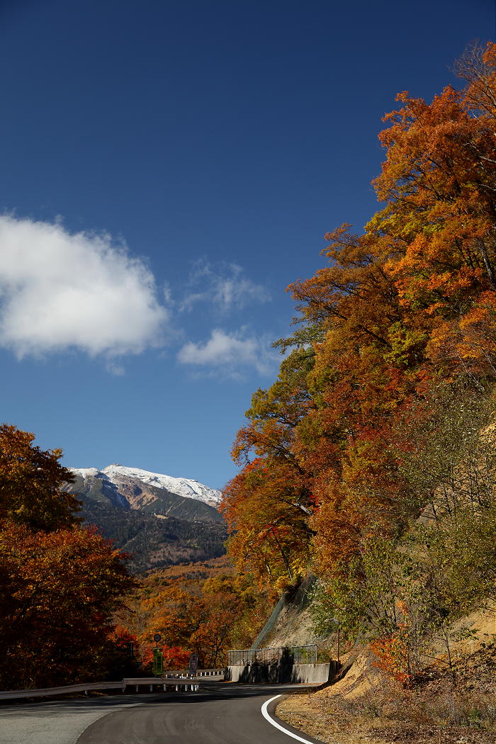 木曽･蓼科 2012秋 その4_b0168647_17173042.jpg