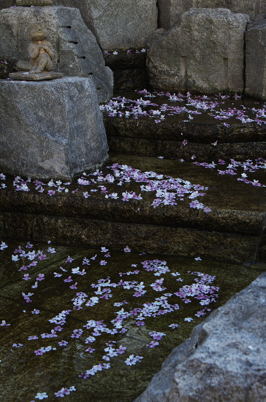 御幸桜咲く（頂法寺＜六角堂＞）_f0155048_20113126.jpg