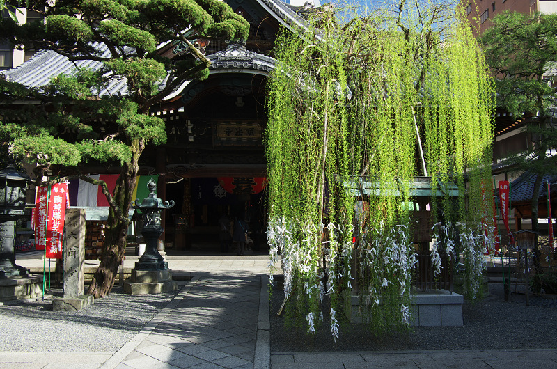 御幸桜咲く（頂法寺＜六角堂＞）_f0155048_2074278.jpg