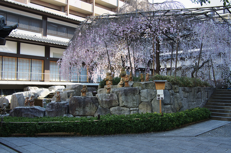 御幸桜咲く（頂法寺＜六角堂＞）_f0155048_2075656.jpg