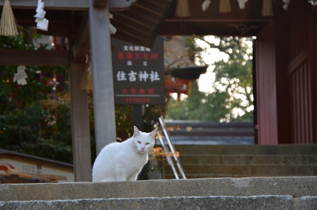 竜王山（小野田）へ_a0171959_1653461.jpg