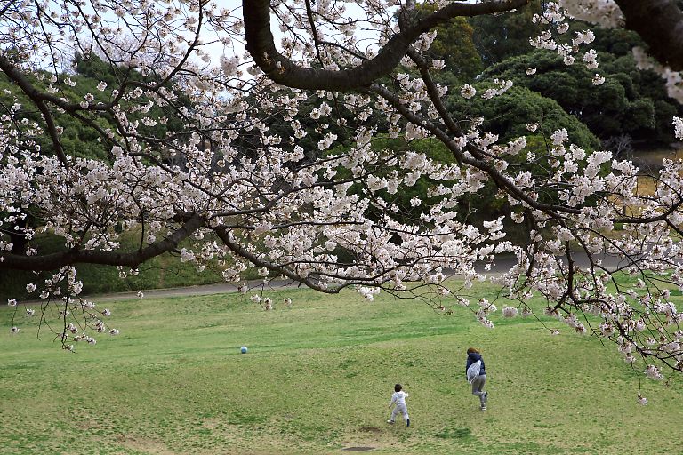 横浜　根岸森林公園（３月２５日）_c0057265_350331.jpg