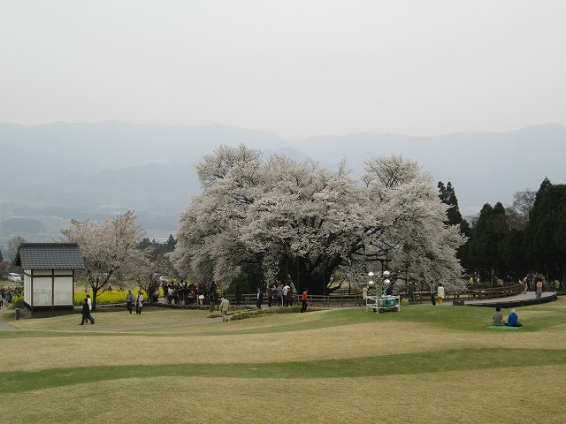 f0067067_9284910.jpg