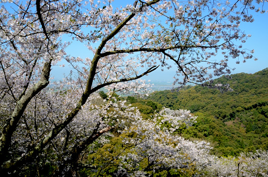 b0170969_2002011.jpg