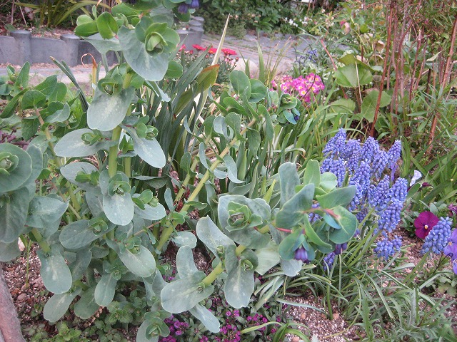 e0181373_2195147.jpg