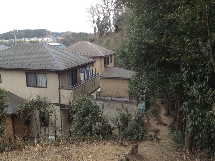 2013.3.24 奥武蔵　天覚山トレイル　（吾野駅－飯能駅）_b0219778_0373393.jpg