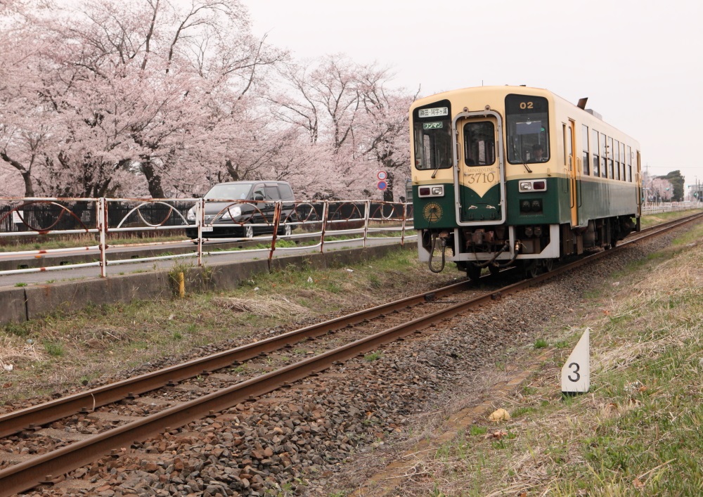桜巡り　ひたちなか海浜鉄道湊線　２０１３・０３・３０_e0143883_1885487.jpg