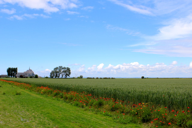 f0267285_19315857.jpg
