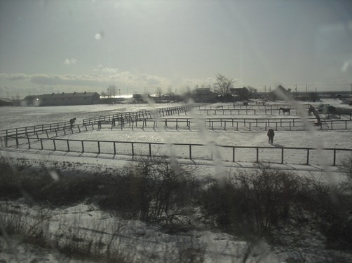 c0109090_1336864.jpg