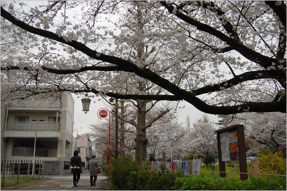 a0155999_0374892.jpg