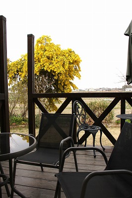 a0123003_013158.jpg