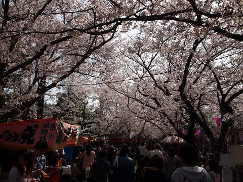 a0203305_99219.jpg