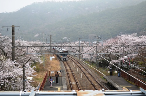 和歌山県に『かせだ』_d0230507_13191835.jpg