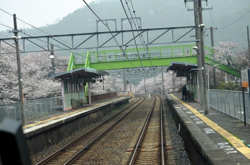 和歌山県に『かせだ』_d0230507_13192911.jpg