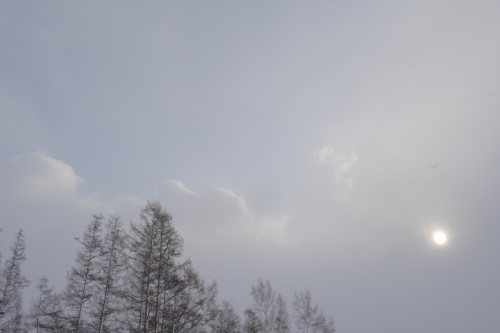 c0211309_17454550.jpg