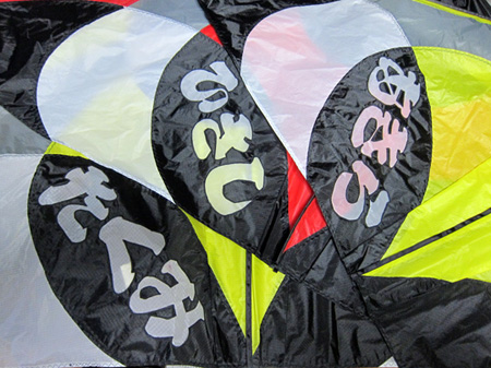 名前入りのデルタカイト Kite Making Flying ミシンで楽しい凧作り カイトフォト 名前入りのデルタカイト Kite Making Flying ミシンで楽しい凧作り カイトフォト