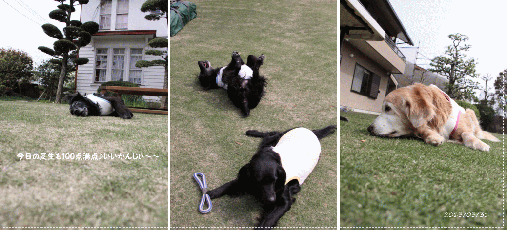 c0017311_2213220.gif