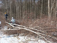 c0173813_12544072.jpg