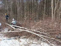 平成25年3月30日（土）　植苗の森　天候：雪　参加：14名_c0173813_12544072.jpg