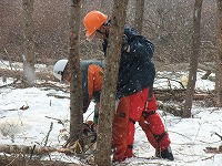 平成25年3月30日（土）　植苗の森　天候：雪　参加：14名_c0173813_12595990.jpg