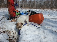 c0173813_1373263.jpg