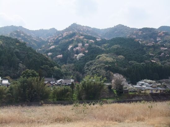 d0065113_8441978.jpg