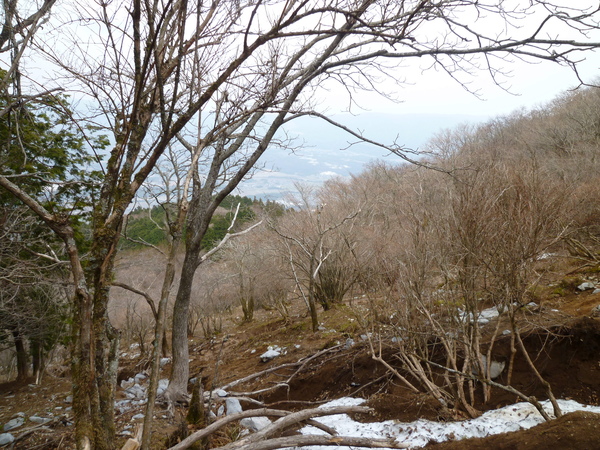 福寿草咲く　藤原岳 (1,171M) に登る　　完_d0170615_1063257.jpg