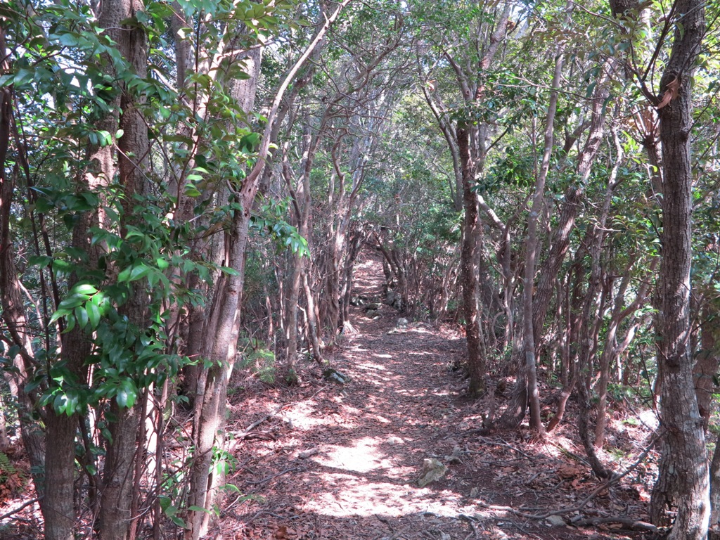 f0064415_23271837.jpg