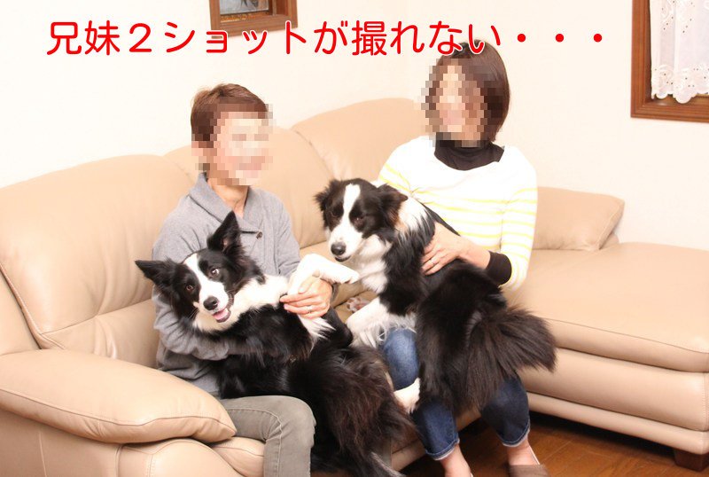 a0232619_1344319.png