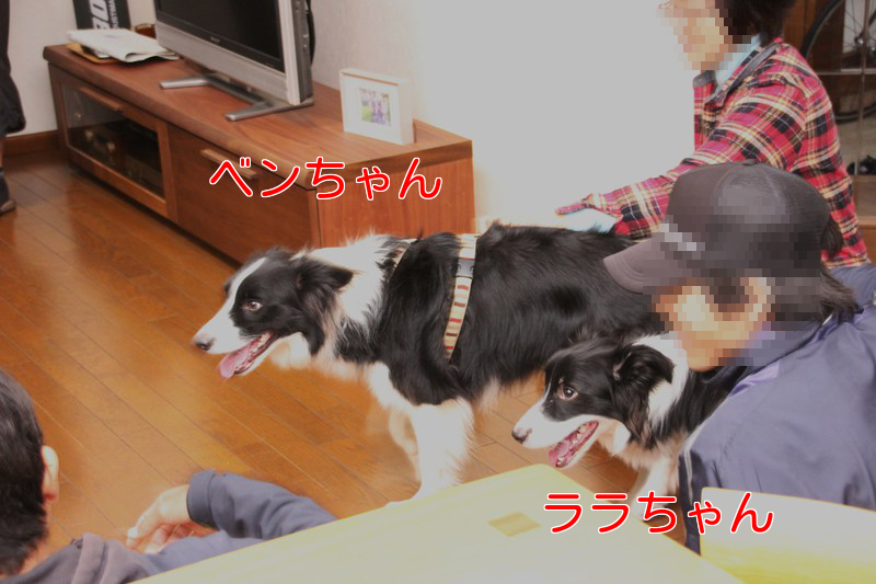a0232619_13553447.png