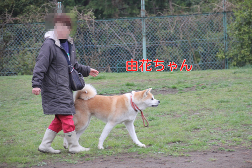 a0232619_14115047.png