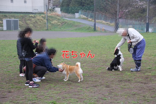 a0232619_1411572.png