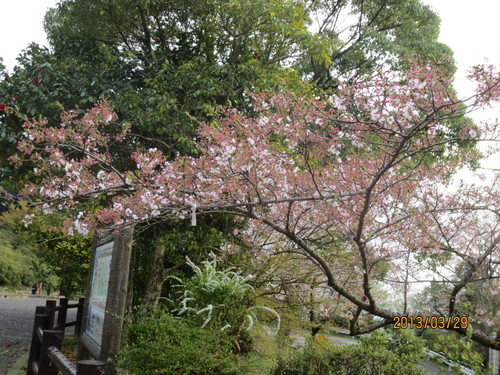 a0238019_8434476.jpg