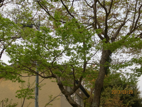 a0238019_8442013.jpg