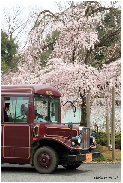 お散歩＠明治村_b0260319_8214334.jpg