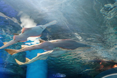 f0224624_9584279.jpg
