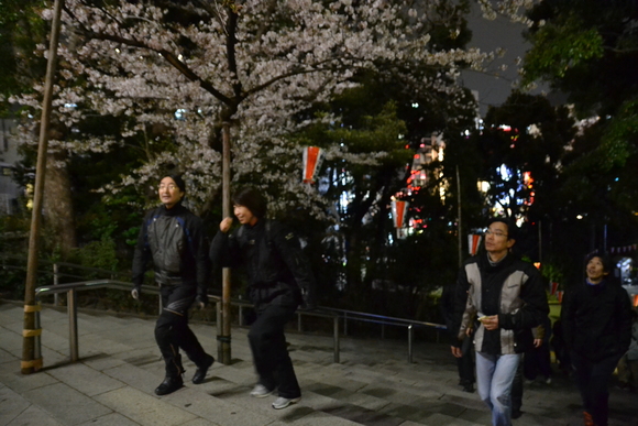 夜桜ミニツーリング　レポート_d0100125_10543723.jpg