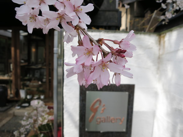桜の季節、可愛いうつわ_a0197730_21362719.jpg