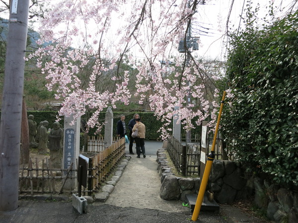 桜の季節、可愛いうつわ_a0197730_21374954.jpg