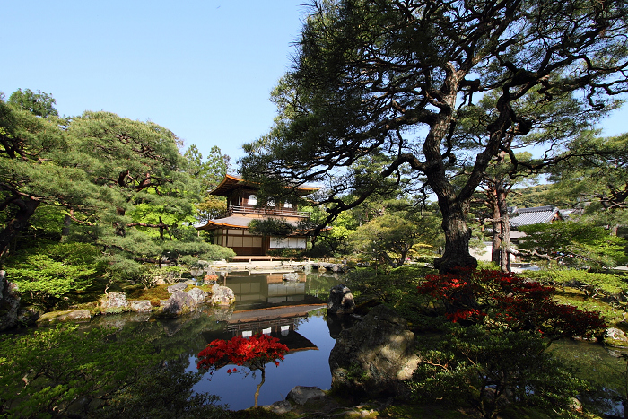 新緑の哲学の道巡り －銀閣寺（前編）－_b0169330_22534614.jpg